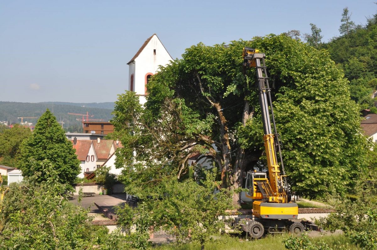 News » Infos zur Neugestaltung vom Kirchhof Lausen